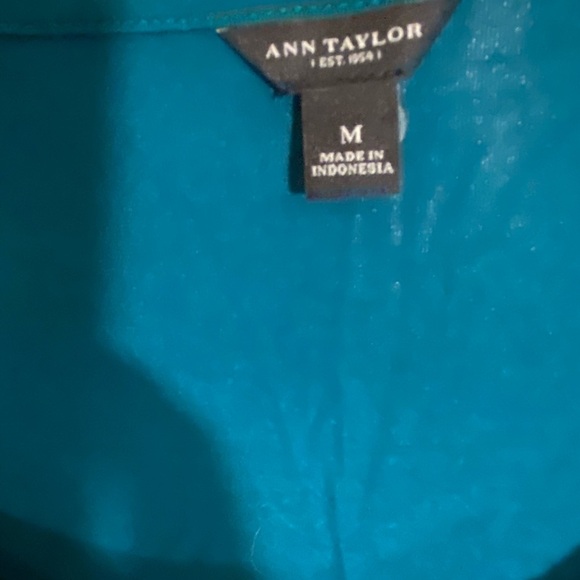 12 Days of Deals! Ann Taylor Sheer Tiered Ruffle Front Tank Top. - Picture 3 of 5